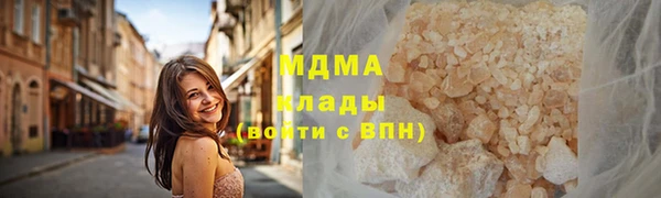 прущие грибы Армянск