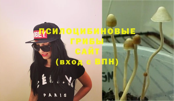 прущие грибы Армянск