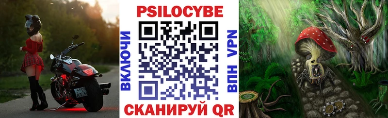 Галлюциногенные грибы MAGIC MUSHROOMS Советск